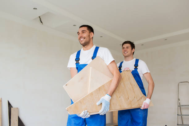 Best Shed Removal  in Maple Lake, MN